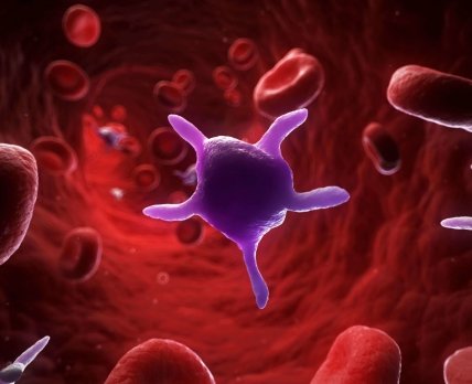 Гідрогель + антитіла: SelSym контролюватиме кровотечі за допомогою синтетичних тромбоцитів