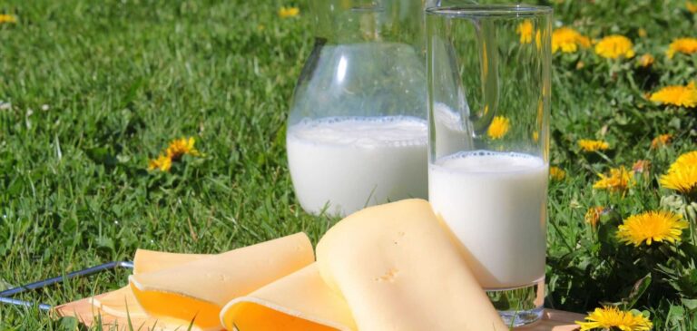 Молочні продукти, які знижують ризик розвитку діабету: результати дослідження 