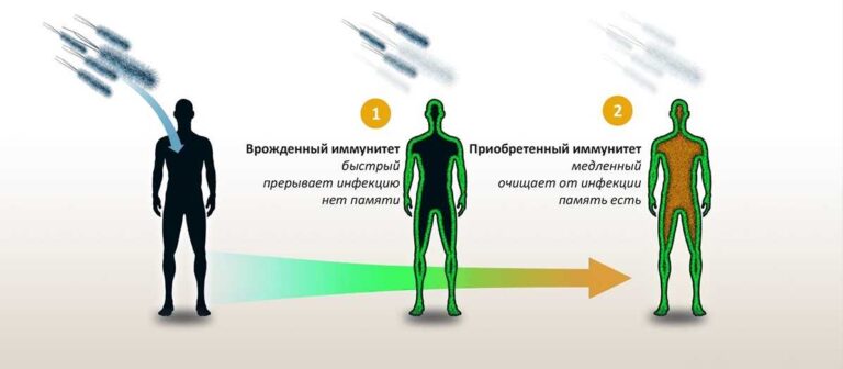 Як підтримувати імунітет при частих респіраторних інфекціях
