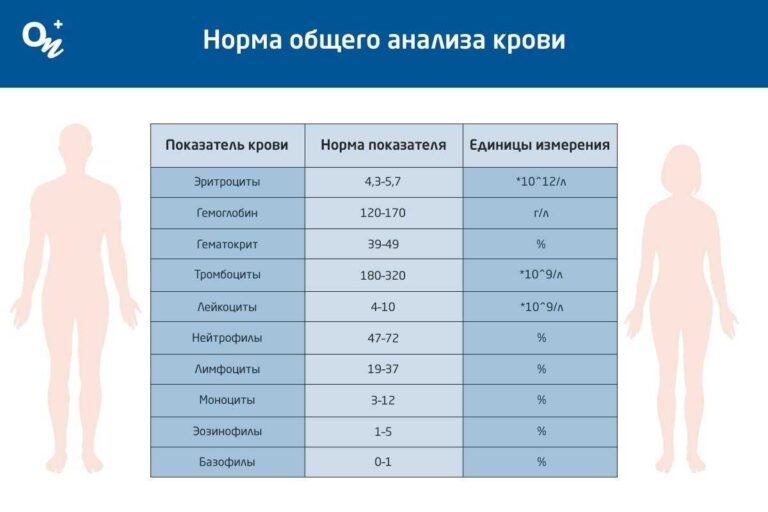 Розшифровка загального аналізу крові: що означають показники