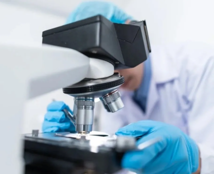Доклінічні дослідження: FDA збирається замінити тварин на органоїди та штучний інтелект