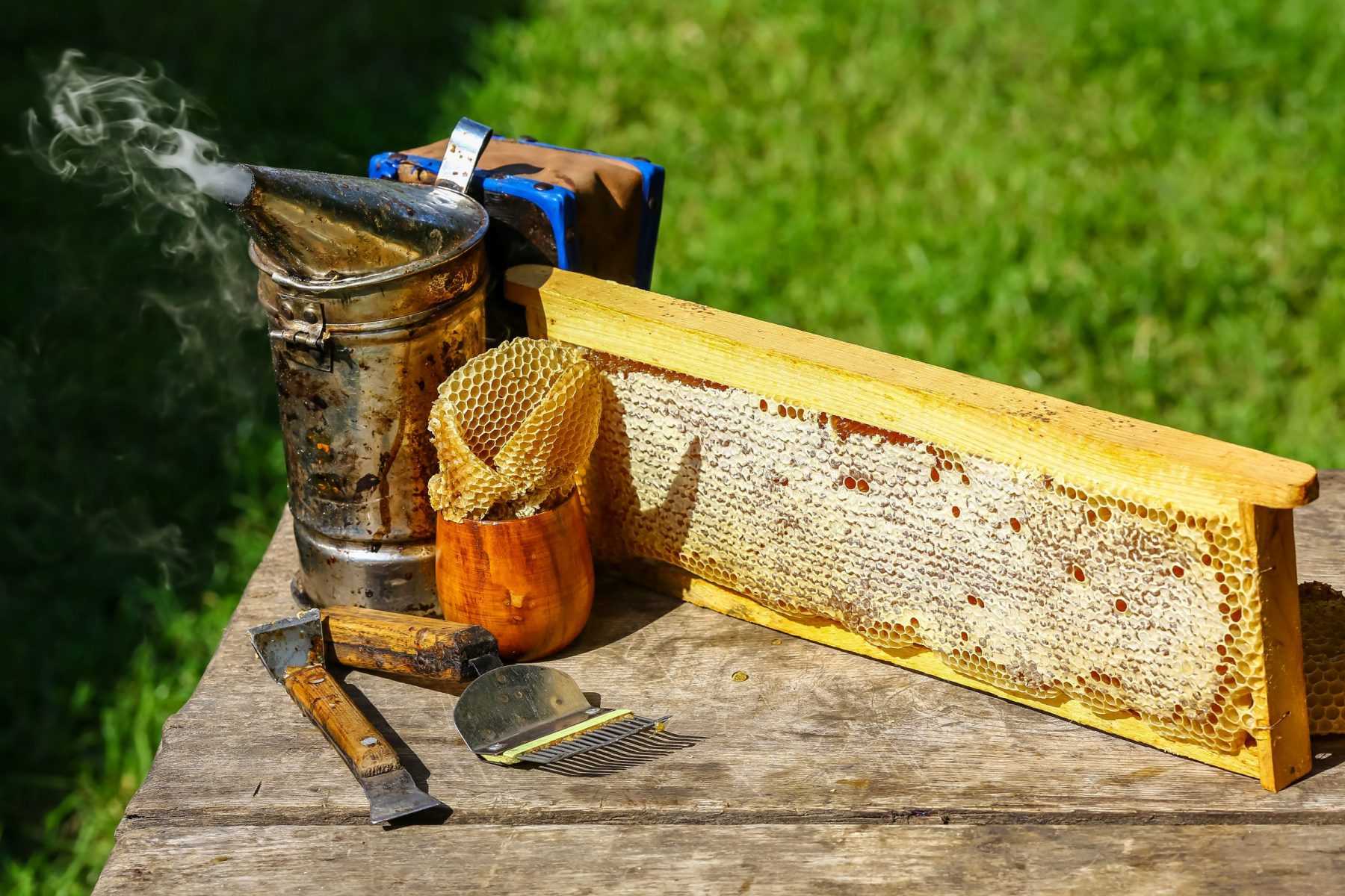 продукция пчеловодства