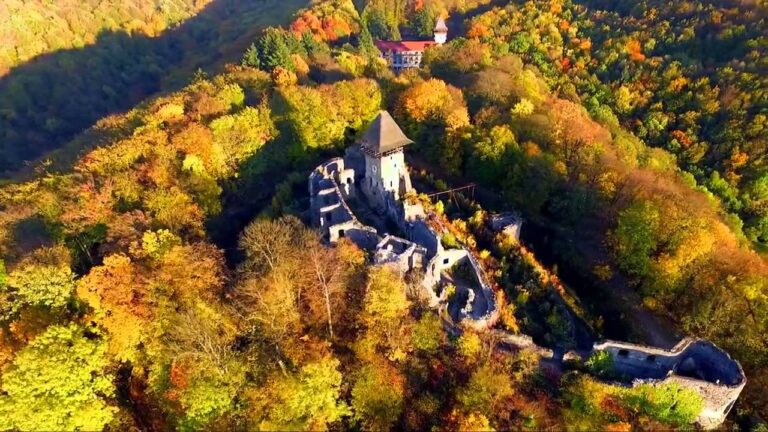 Від Києва до Закарпаття: гірські краєвиди, вино та традиції