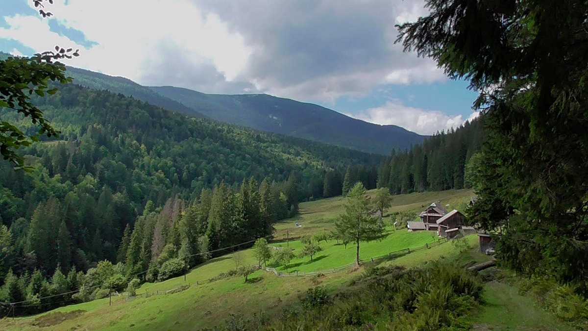 Тури в Карпати з Івано-Франківська